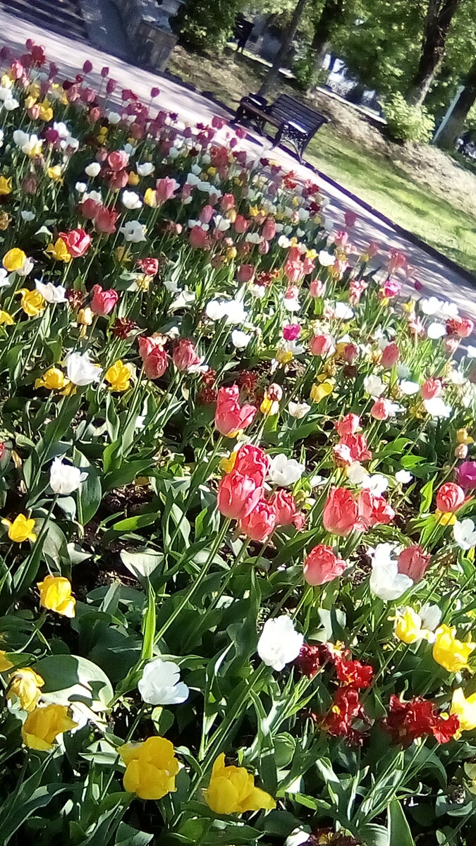 Клумба на набережной