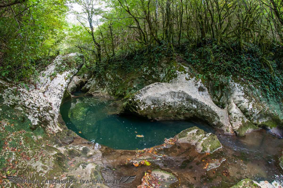 Черниговка абхазия фото с описанием