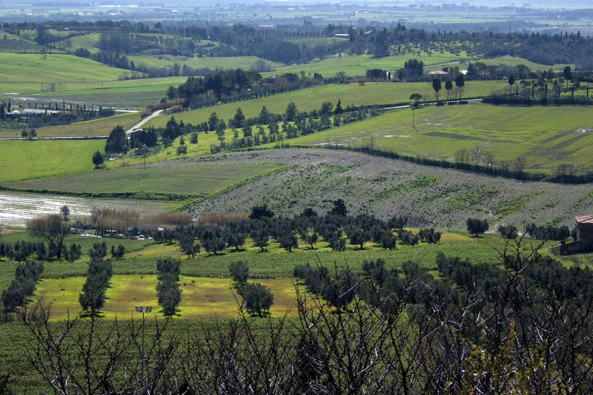 1/400 sec. f5. 6, ISO 100