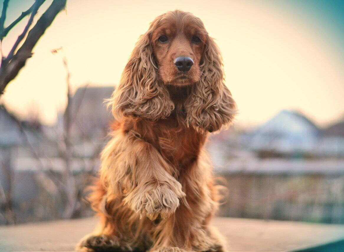 фото: 24tail.com