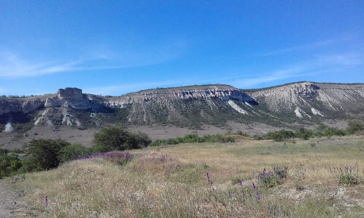 Село курское