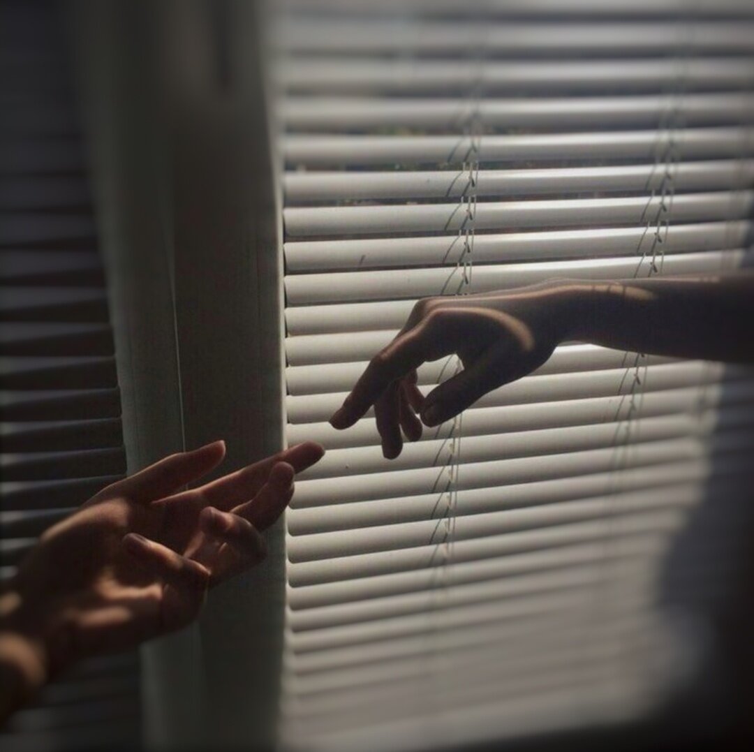 Фотография взята из интернета 