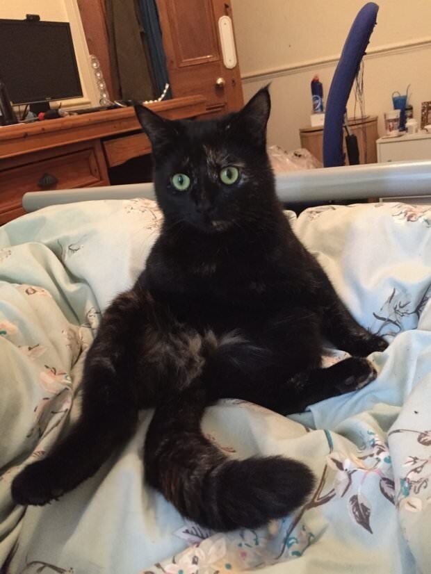 imgur.com