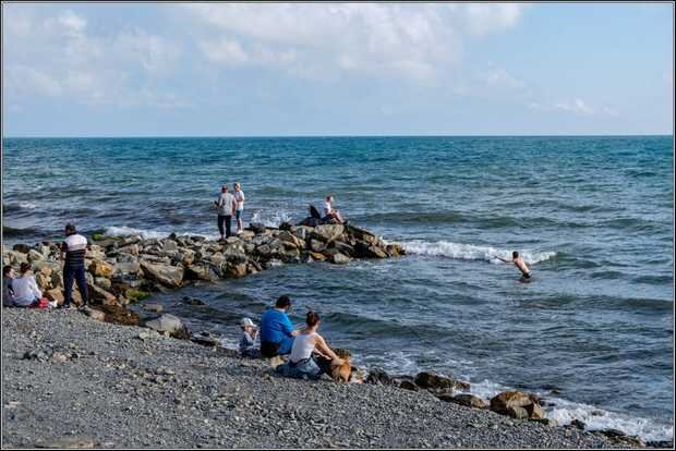 Сидит на берегу, часть купается.