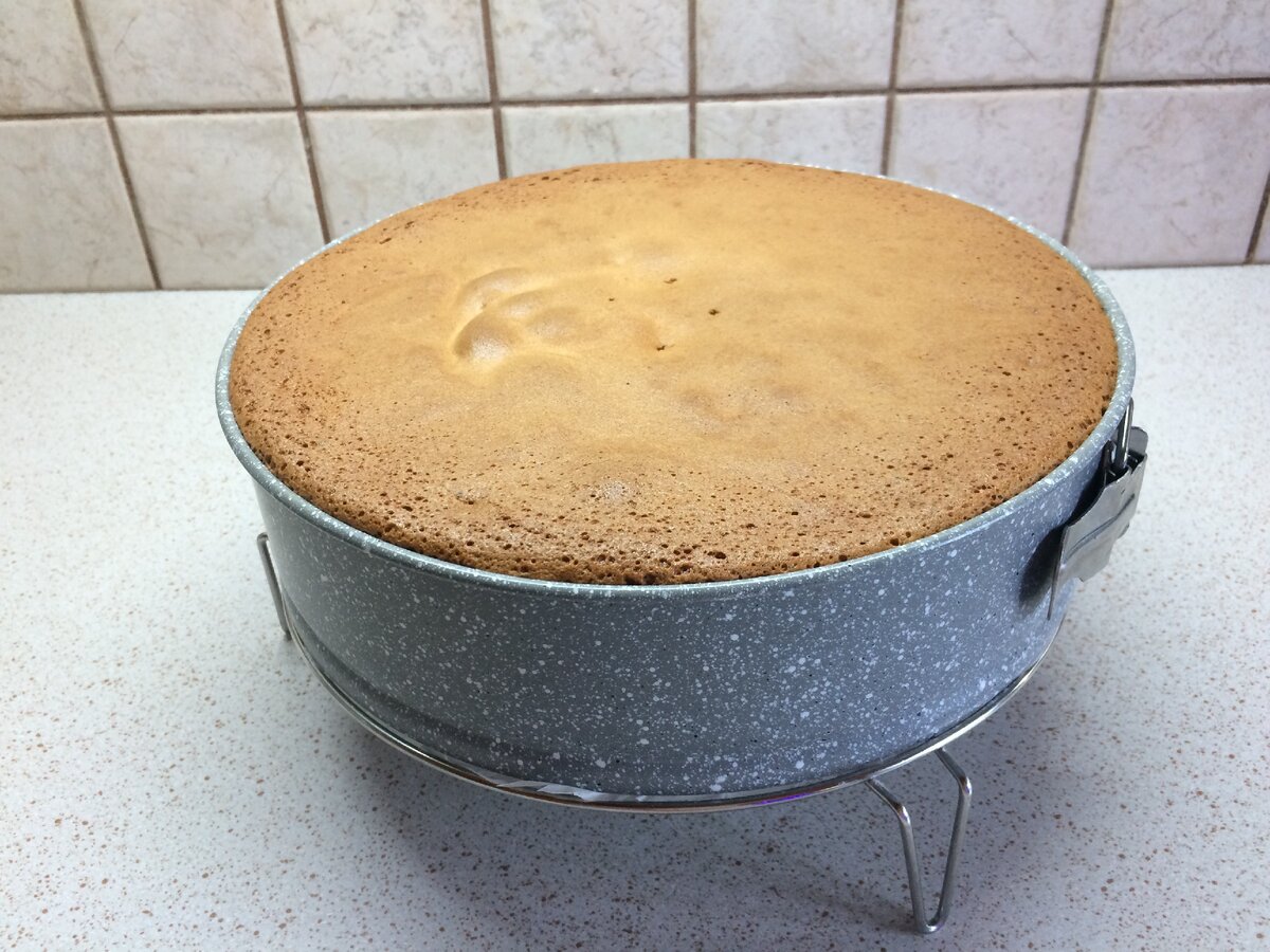 Как приготовить бисквитный медовый торт