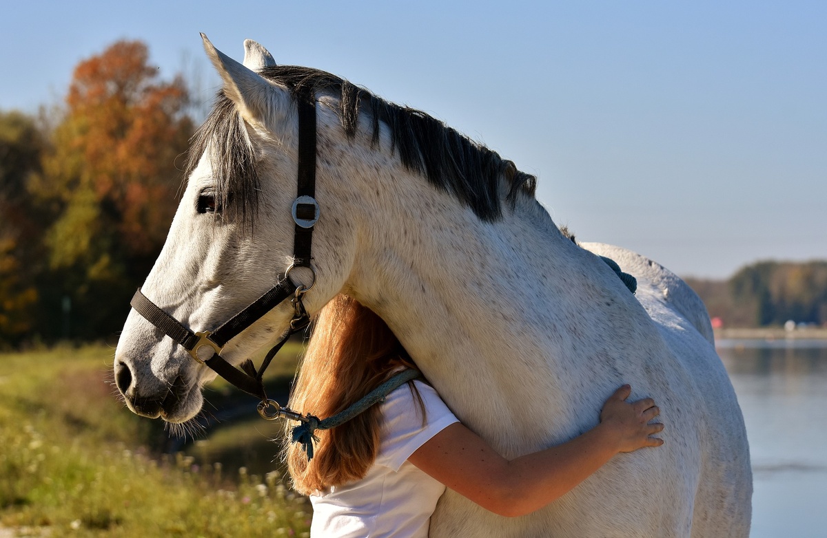 Фото: Pixabay.com