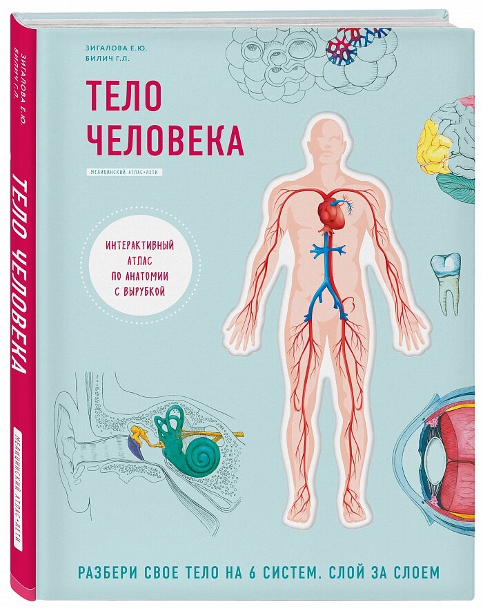 Тот самый атлас, от которого визжат даже взрослые.