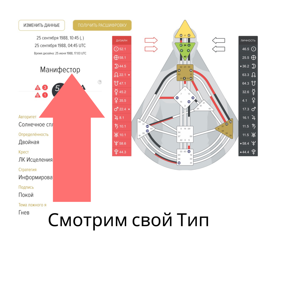 Отшельник дизайн человека