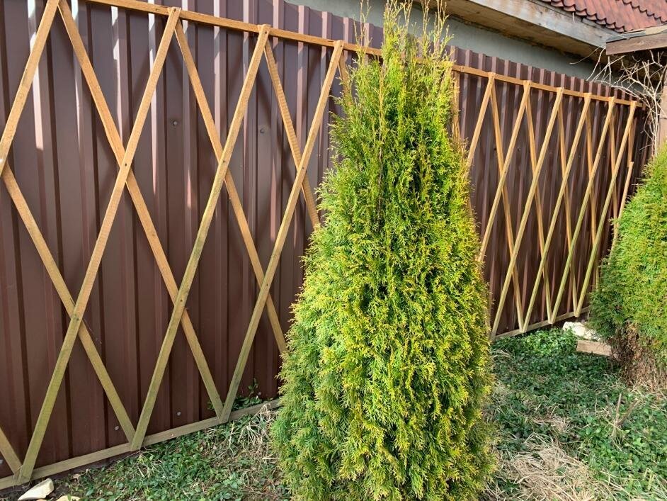 Подсмотрели, как по-новому установить забор из профлиста. Красиво ...