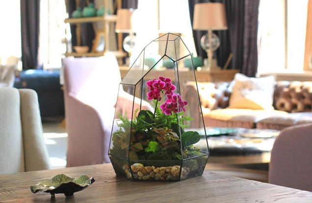 Центральное место в композиции флорариума занимает орхидея. Фото с сайта: homemania.ru