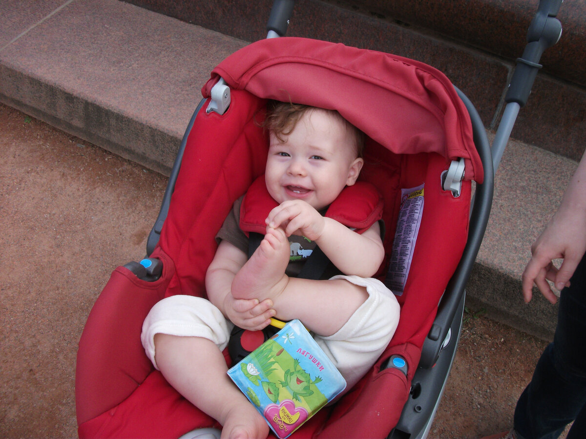 сорвал букет, подари бабушке.