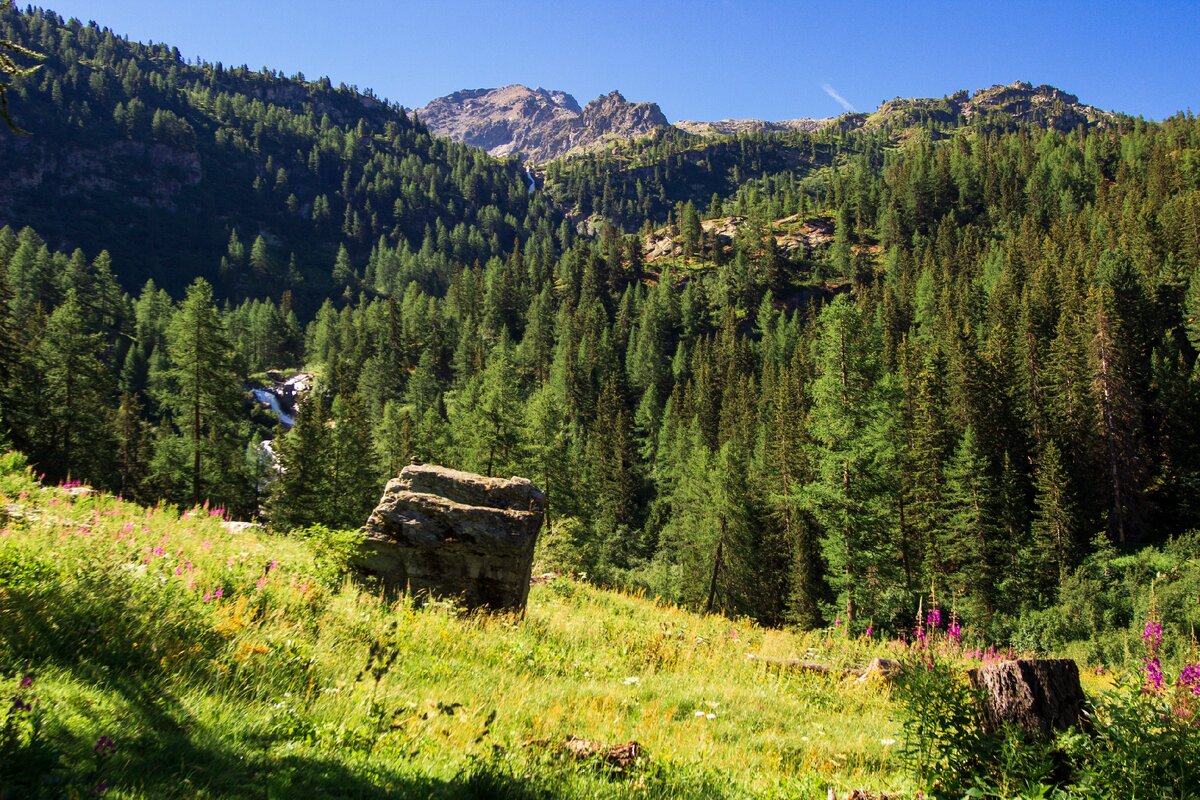 Видите вдалеке реку? Вот туда то мы и направляемся