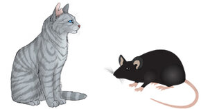 Фото взято из открытых источников