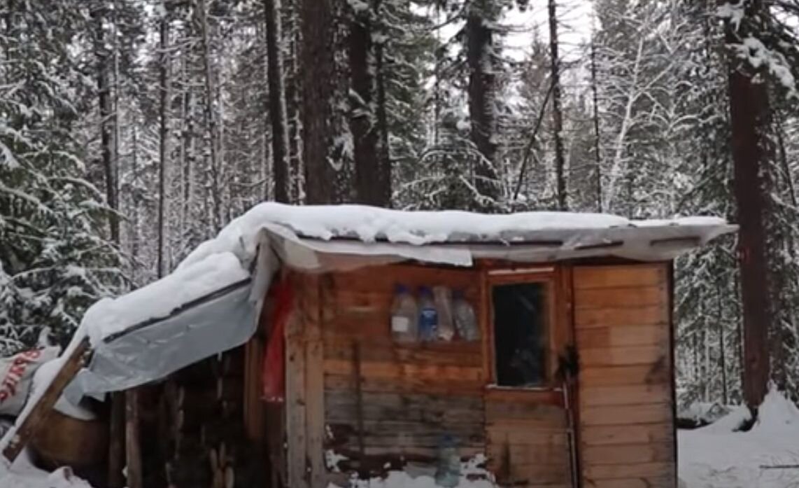 Наше неказистое укрытие из поддонов