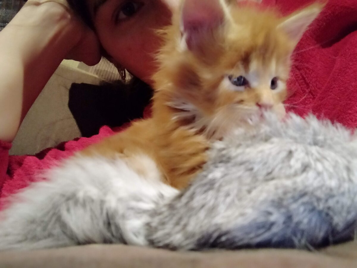 Мейн кун Стëпа.