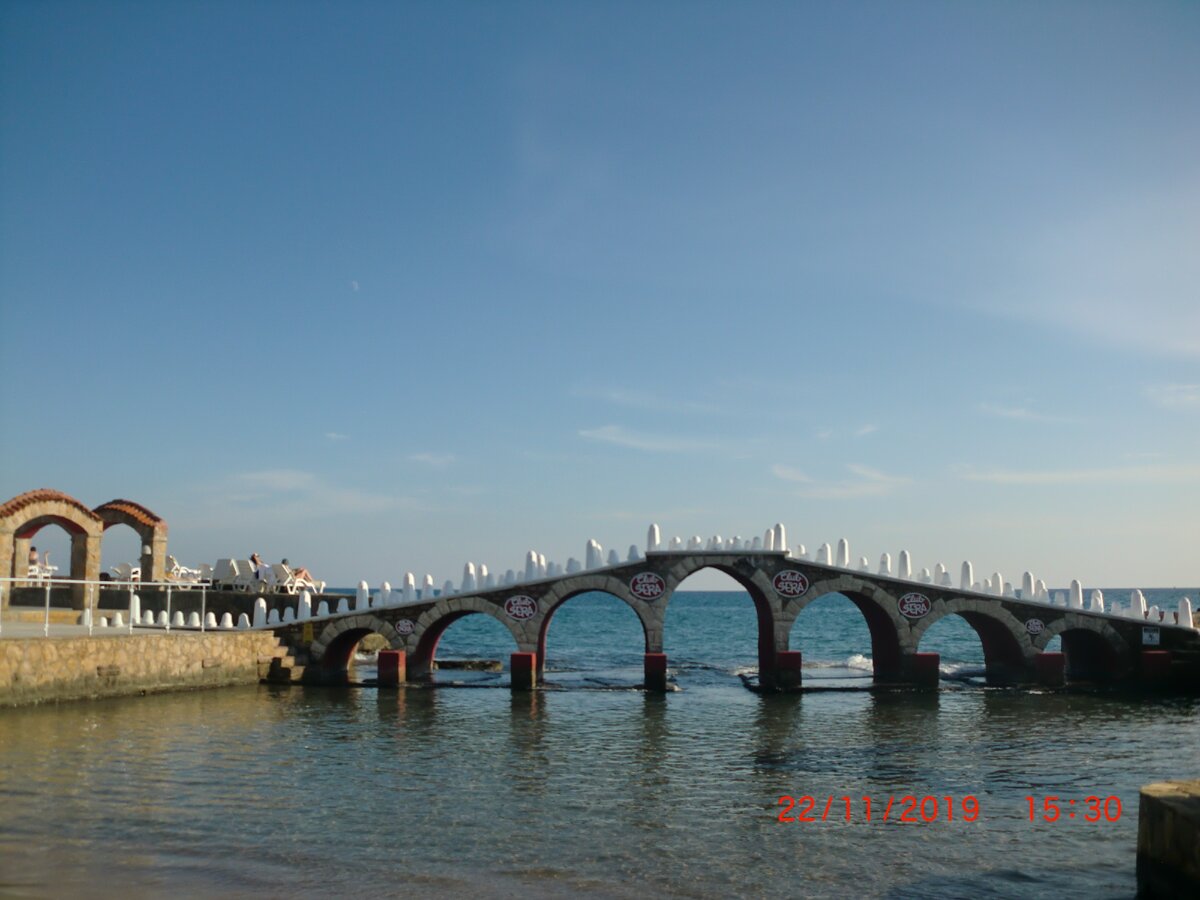 фото лягушатника для детей из личного архива