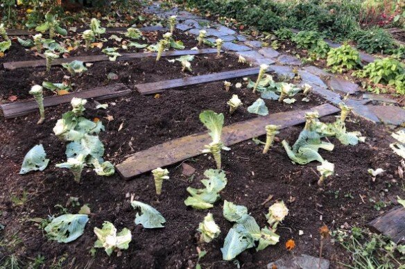 Источник фото Яндекс.Картинки