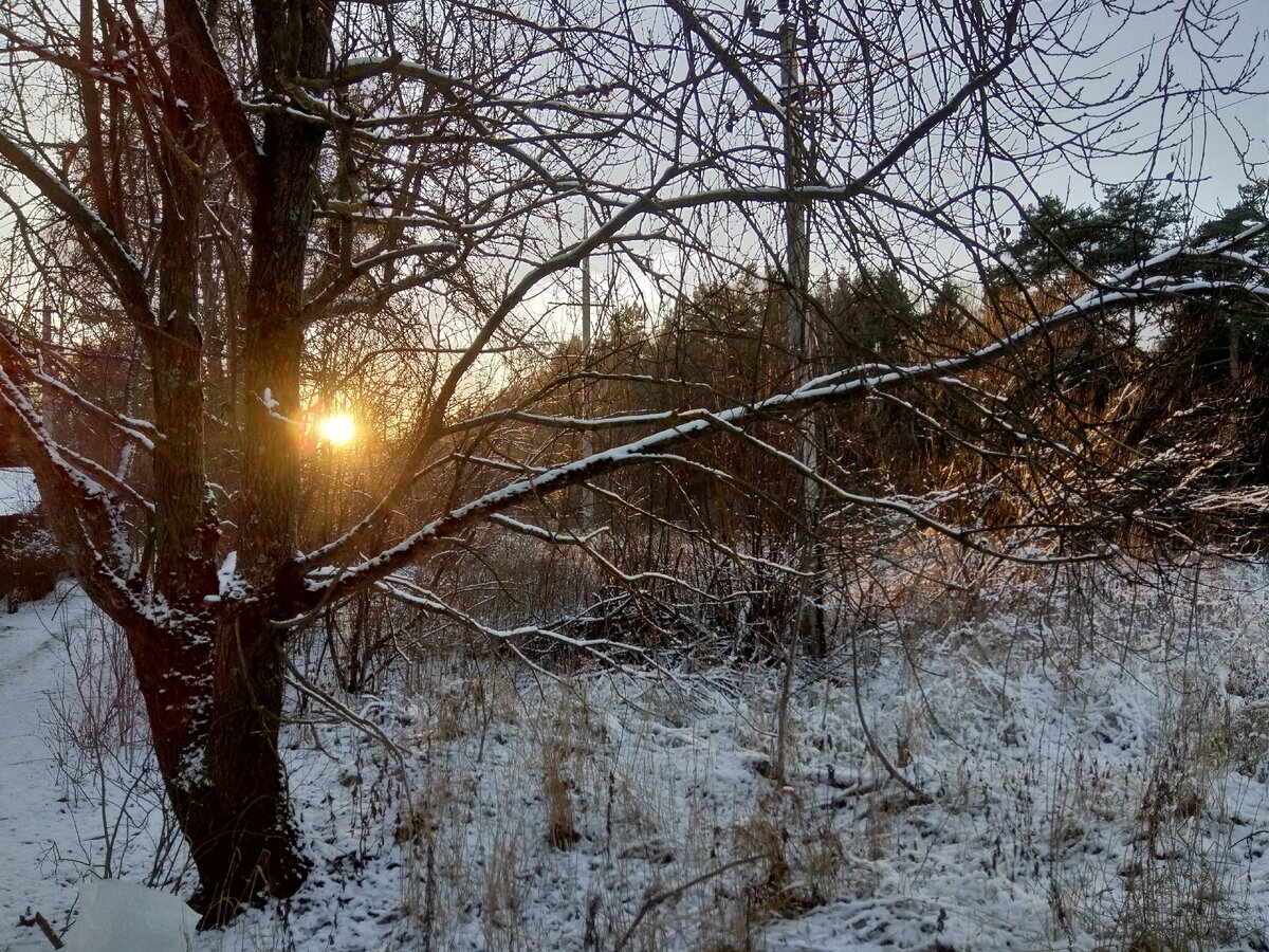 Фото автора. Зима пришла... 