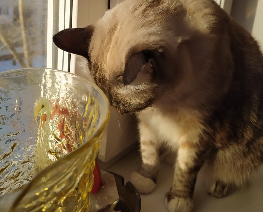 О, великая ваза желтого стекла! Призываю тебя, исполни мои желания, желательно все, но хотя бы три для начала.
