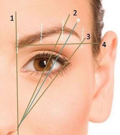 Как разметить брови.