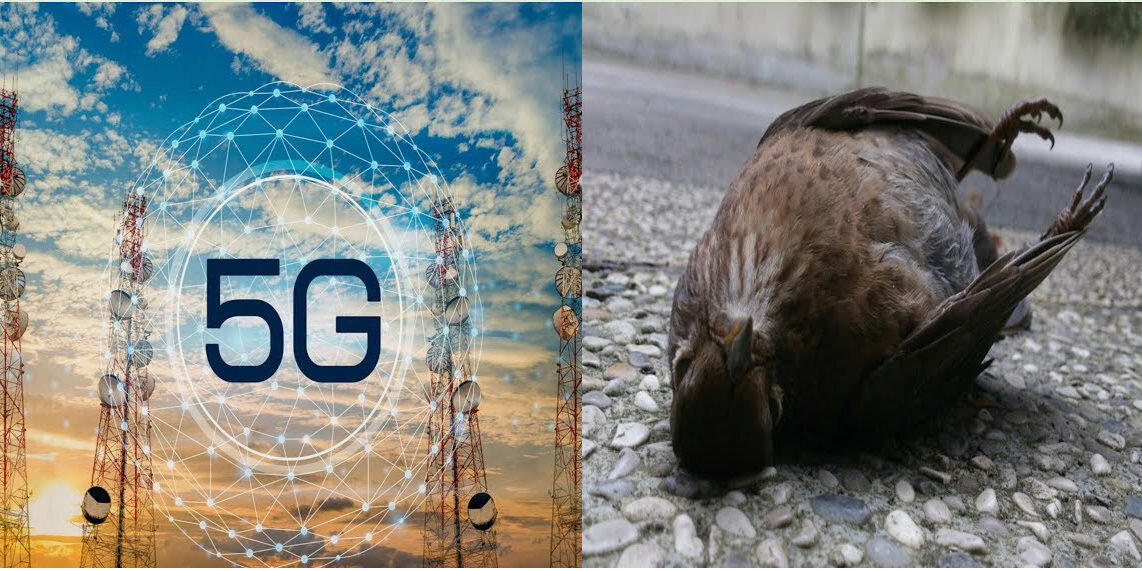 9 живей. 5g излучение. 5g опасность. Облучение 5g. 5g угроза.