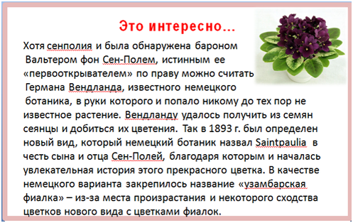 Вот почему узамбарскую фиалку называют сенполией.