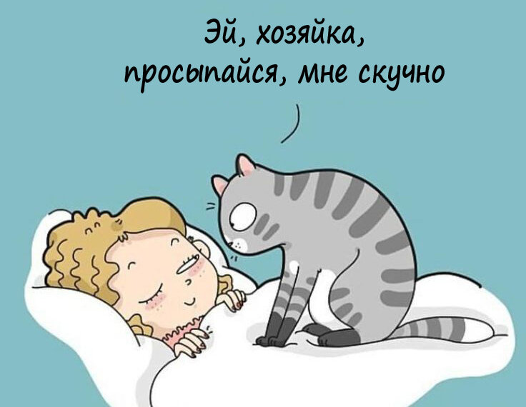 Источник: pinterest