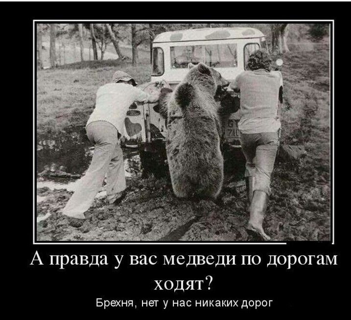 Дорог нет- медведи есть 👍😜