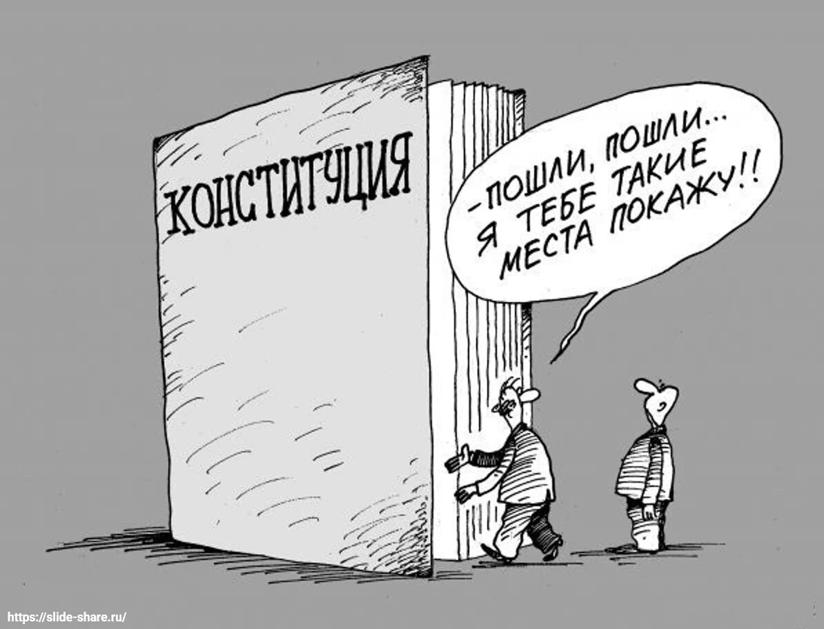 Конституция карикатура