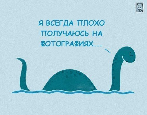 Автор работы - TeoZ