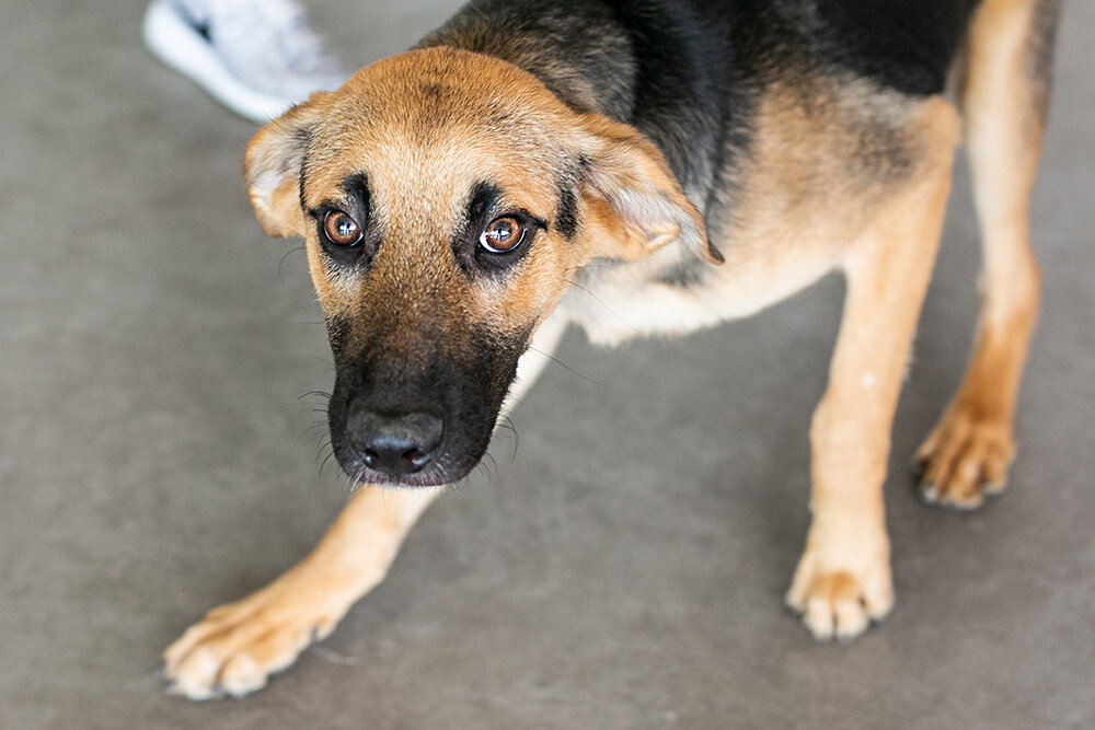 Фото из открытого источника.