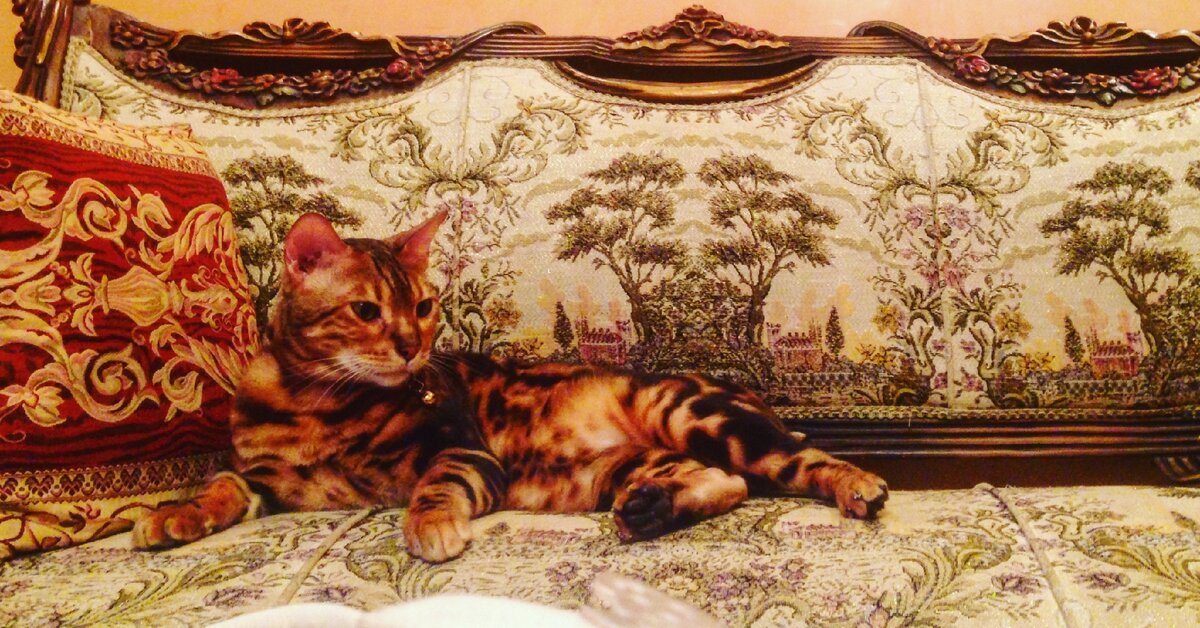 вот мой снова.