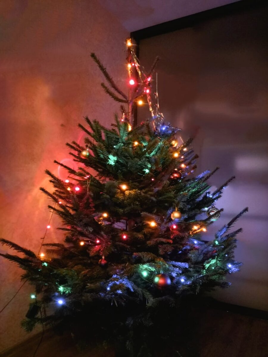 Виновница торжества, ну и катаклизма тоже:)