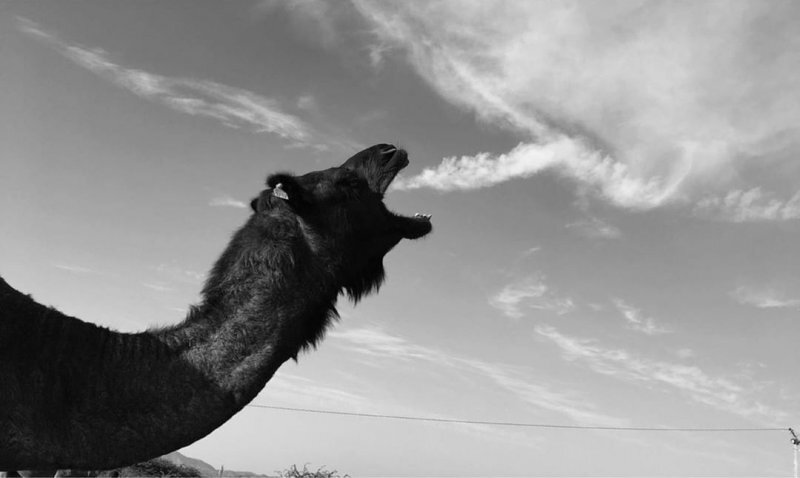 Автор: Четан Шарма