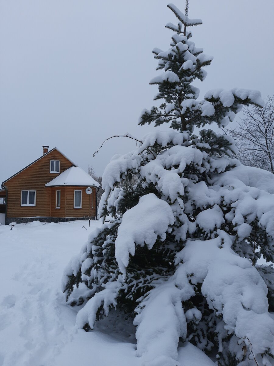 Наша дача. Фото автора