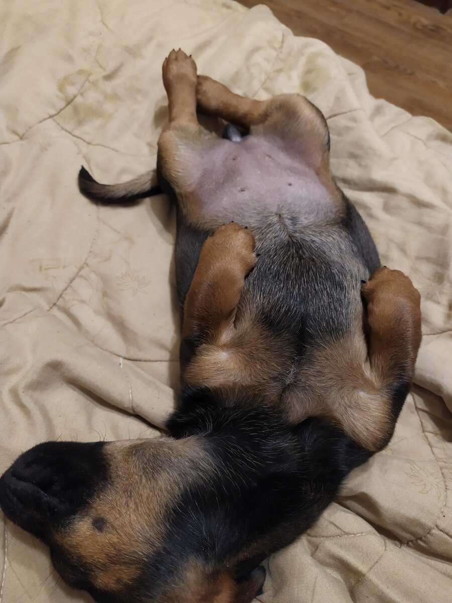 из семейного альбома Ахламовых