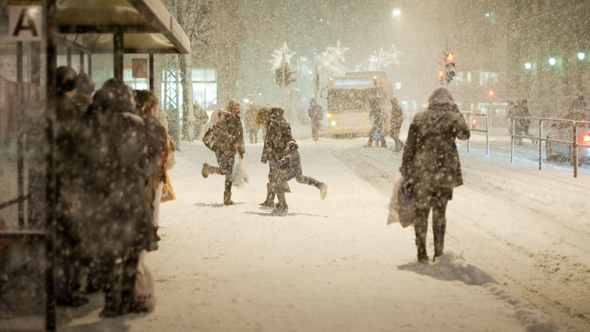 Яндекс картинки news.myseldon.com