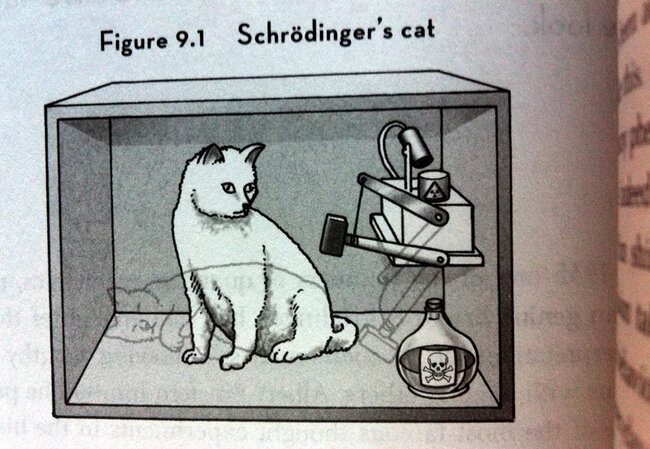 El gato de schrödinger para tontos