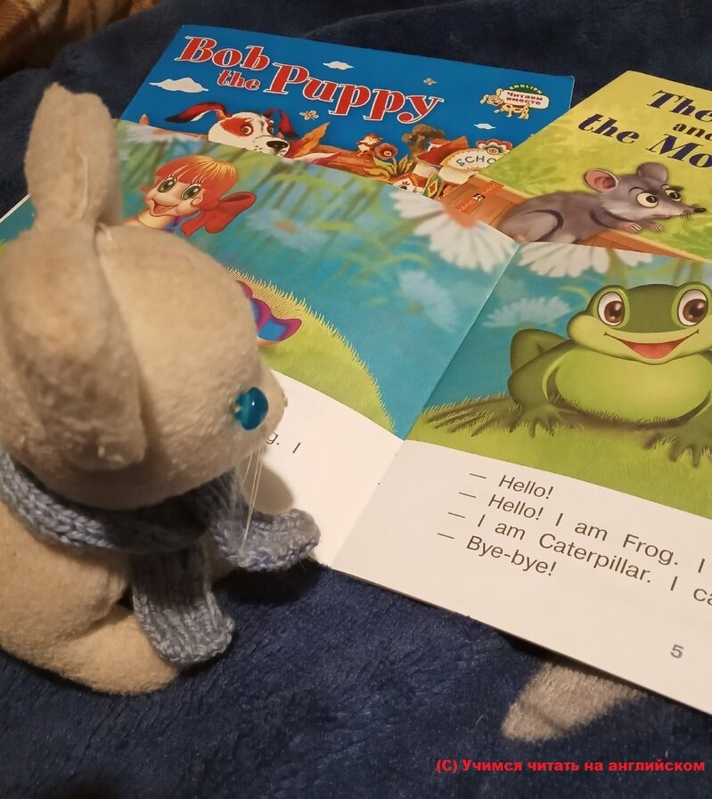 Итогом обучения чтению, конечно, является чтение книг. Выбирая первые книги для чтения на английском языке, стоит обратить внимание на несколько моментов. Фото автора. 