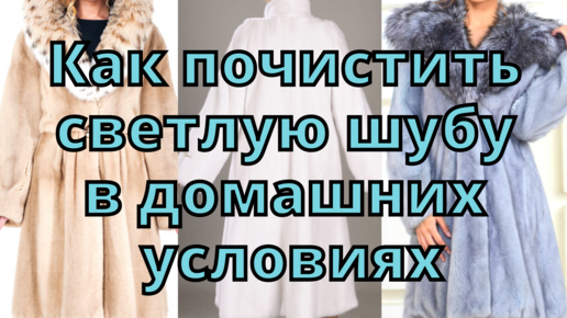 Как почистить мутоновую шубу. Водка в шубе. Почистить в домашних условиях светлую шубку из астрогана. Мехаводку.