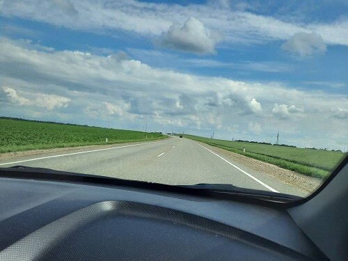 Вдоль дороги засаженные  поля