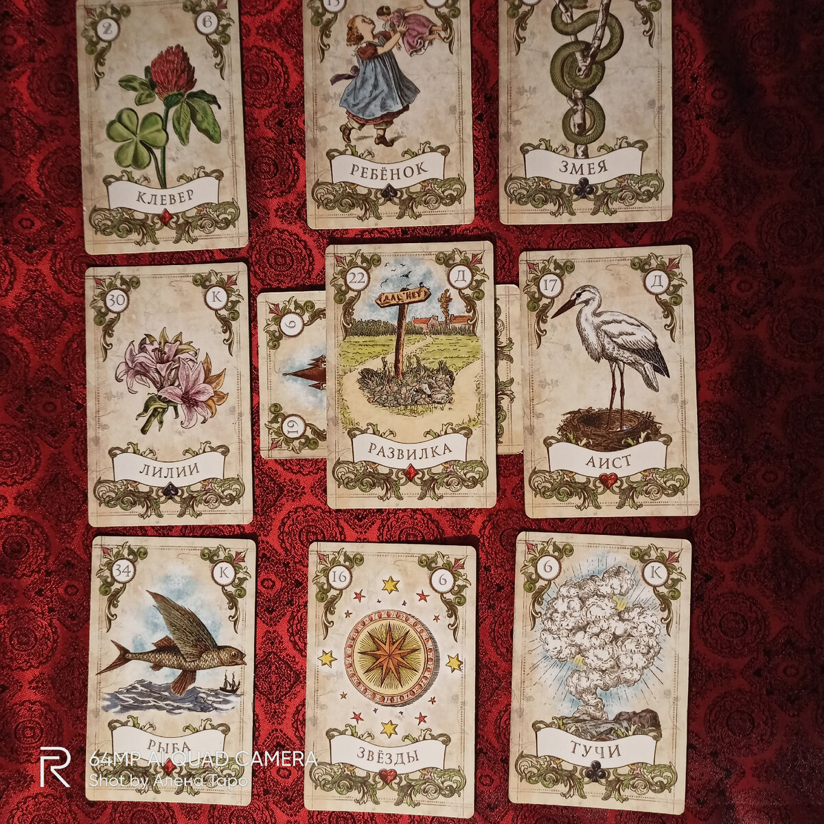 Фото автора канала Алена Таро