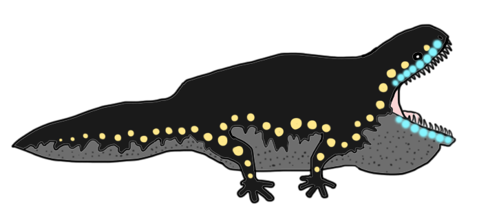 20см в длину, 8 в высоту, ест беспов и мелких позвоночных