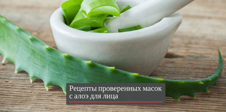 3 лучшие маски с алоэ для омоложения кожи лица. Фантастический ...