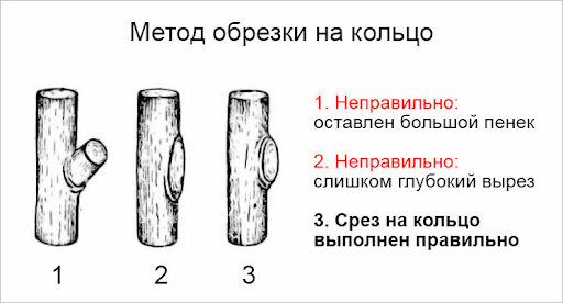 Источник: Яндекс.Картинки