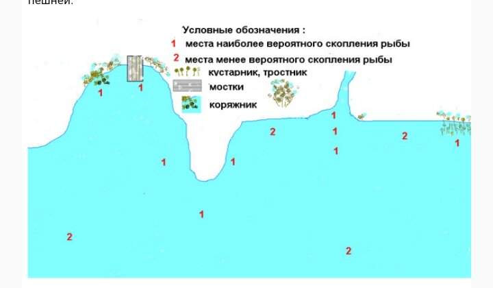 Места обитания судака в реке. Места ловли леща на реке. Перспективные места для ловли леща. Где искать на реке леща в августе. Лещ места обитания.
