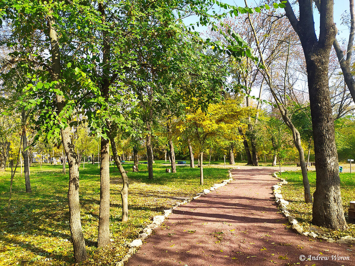 Одна из аллей парка