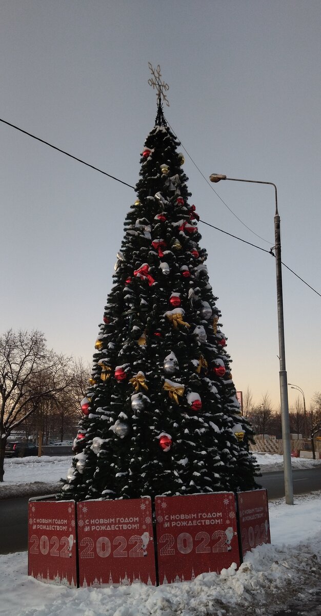 Новогодняя ёлка. Уже не припомню, где. Прогулка моя. Фото моё. 