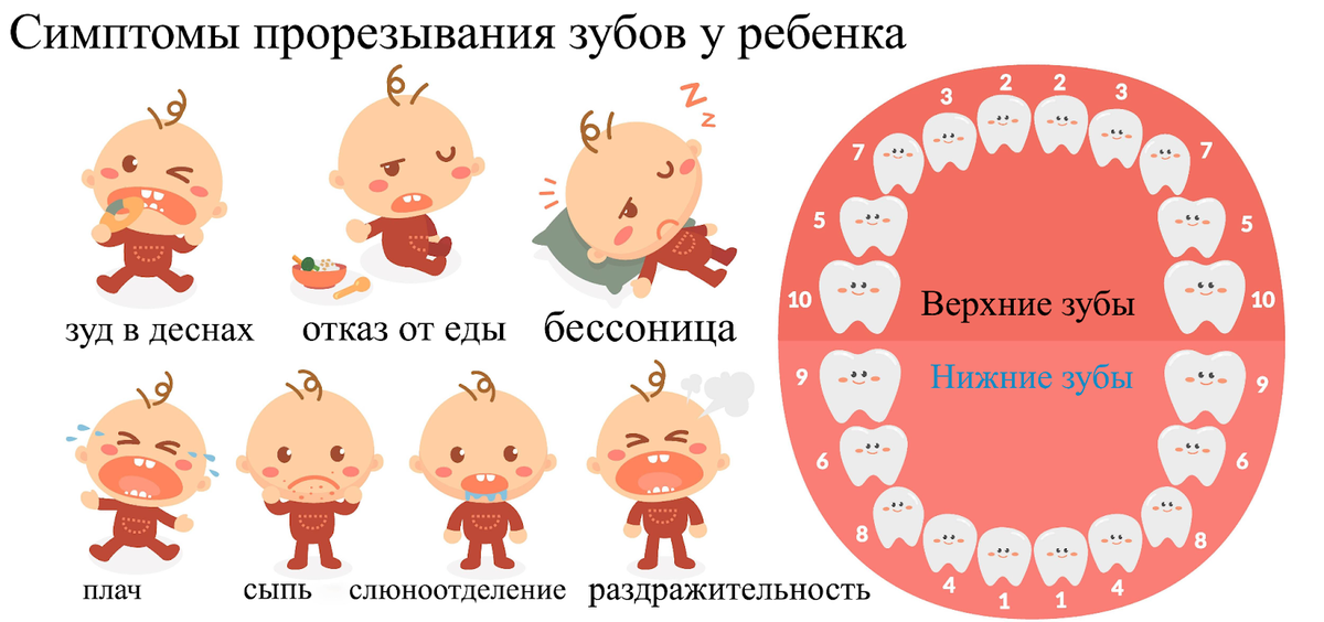 Сонник Режется зуб. К чему снится Режется зуб видеть во сне - Сонник Дома Солнца