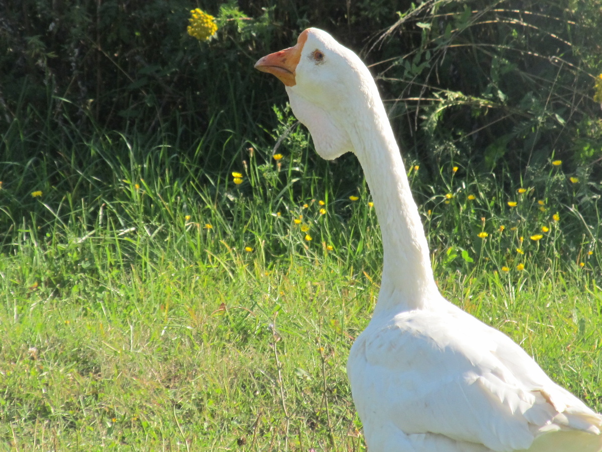Фото автора. 